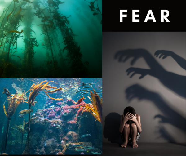 ancient-lesson-4-fear-terrie-wurzbacher